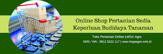 jual benih kangkung, merk bibit kangkung, harga murah, cara menanam kangkung, kangkung bika, benih pertiwi, toko pertanian, toko online, lmga agro