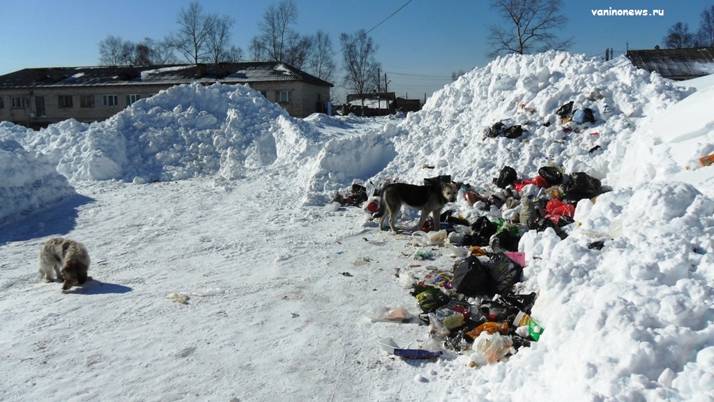 Помойка возле дома, Клубная 21 Ванино (фото © www.vaninonews.ru) / мусор, бродячие собаки