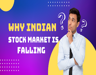 Why is the Indian Stock Market Falling?