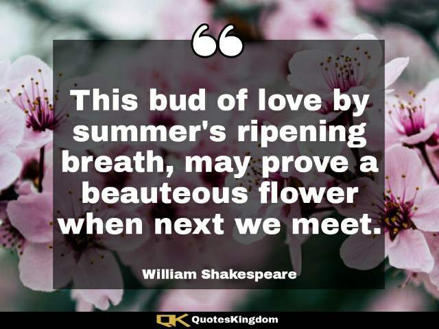 William Shakespeare love quote. Famous Shakespeare quote. This bud of love by summer's ripening ...