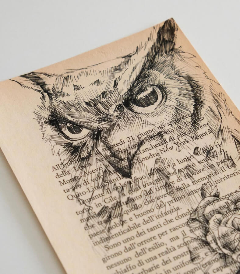 08-Owl-sketch-Alfred-Basha-www-designstack-co
