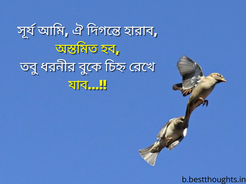bengali quotes on life