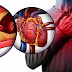  Gorduras saturadas versus gorduras poliinsaturadas: qual é a causa real das doenças cardíacas?
