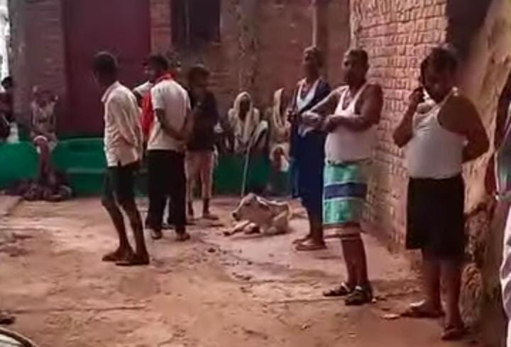 चित्र