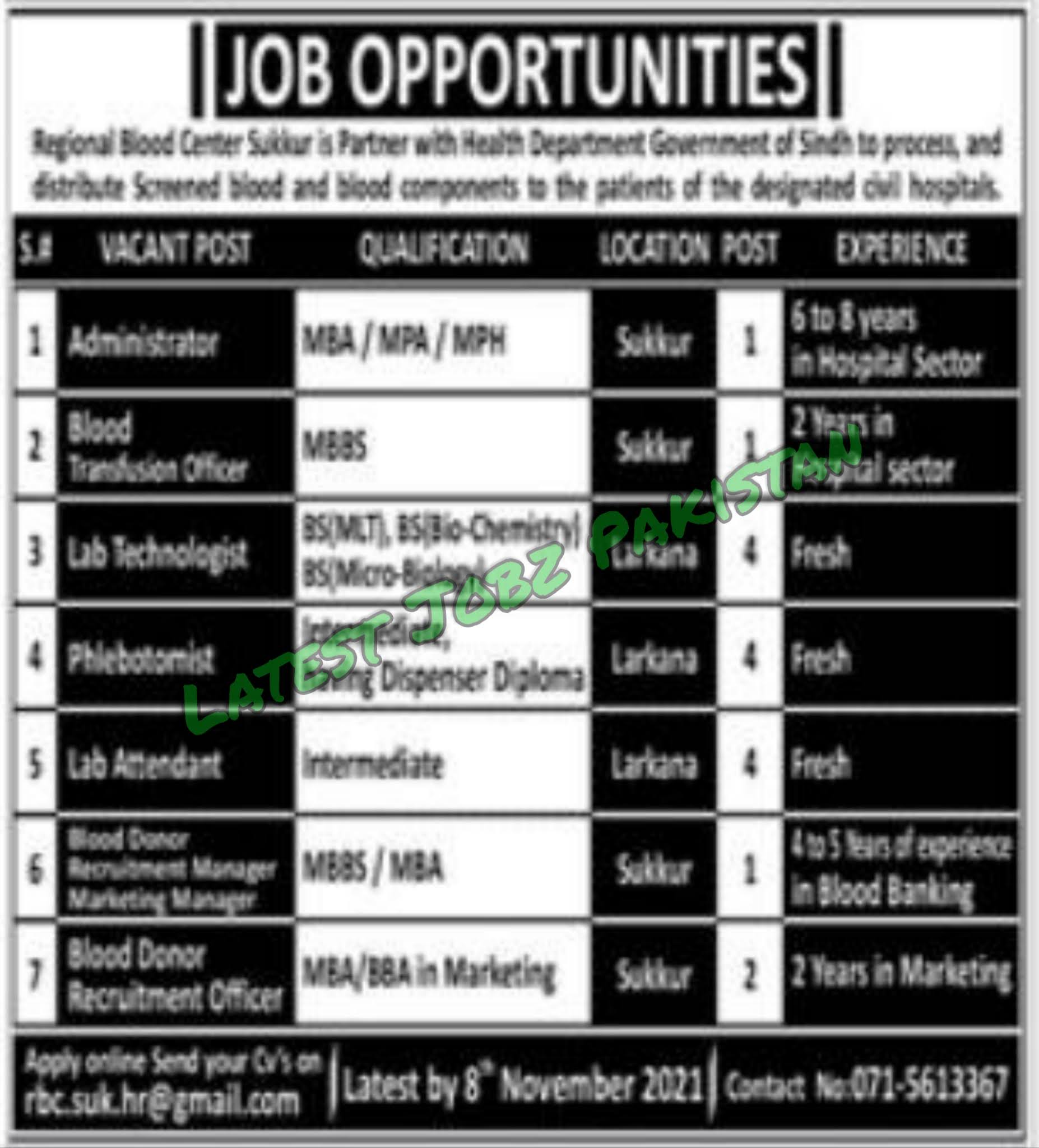 Latest Jobs in Regional Blood Center Sukkur 2021