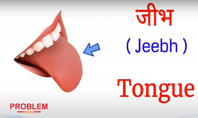 Human Body Parts Name Hindi & English with Pictures