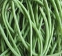 Vegetables Names: सब्जियों के नाम इंग्लिश-हिंदी में | All Vegetables Name In English-Hindi, Green Long Beans, बरबटी