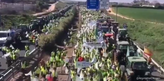 I Gilet Gialli spagnoli si uniscono alle proteste dei contadini, bloccano l'autostrada A4 in Andalusia