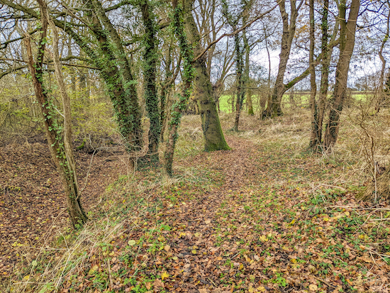 Continue through the woodland, still on Rushden & Wallington footpath 9