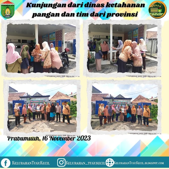 Kunjungan dari Dinas Ketahanan Pangan dan Tim dari Provinsi ke Kelurahan Tugu Kecil Kecamatan Prabumulih Timur