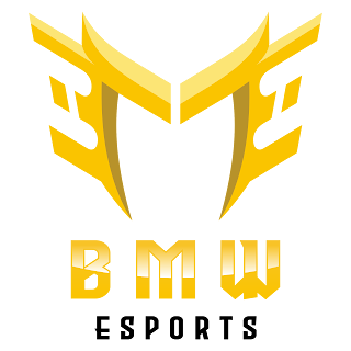 BMW Esports Logo Vector Format (CDR, EPS, AI, SVG, PNG)