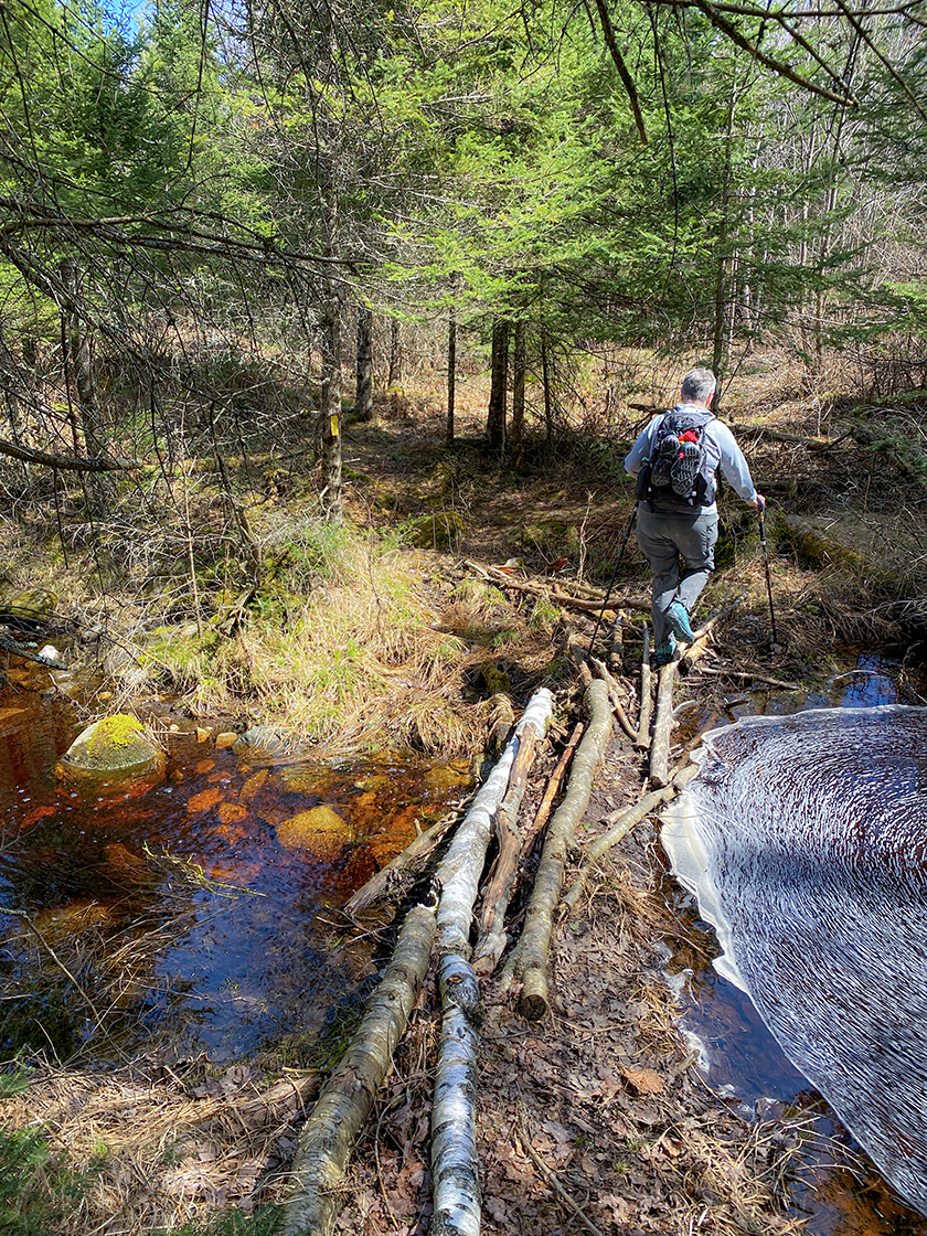 person crossing a stream on logs