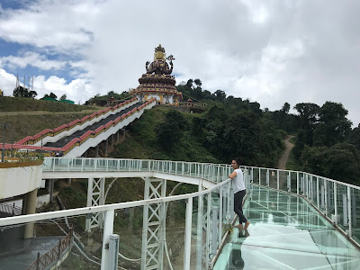 Amazing Pelling Sky Walk from NJP