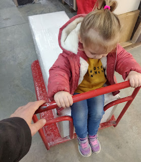 Rosie sitting on the chest on the trolley