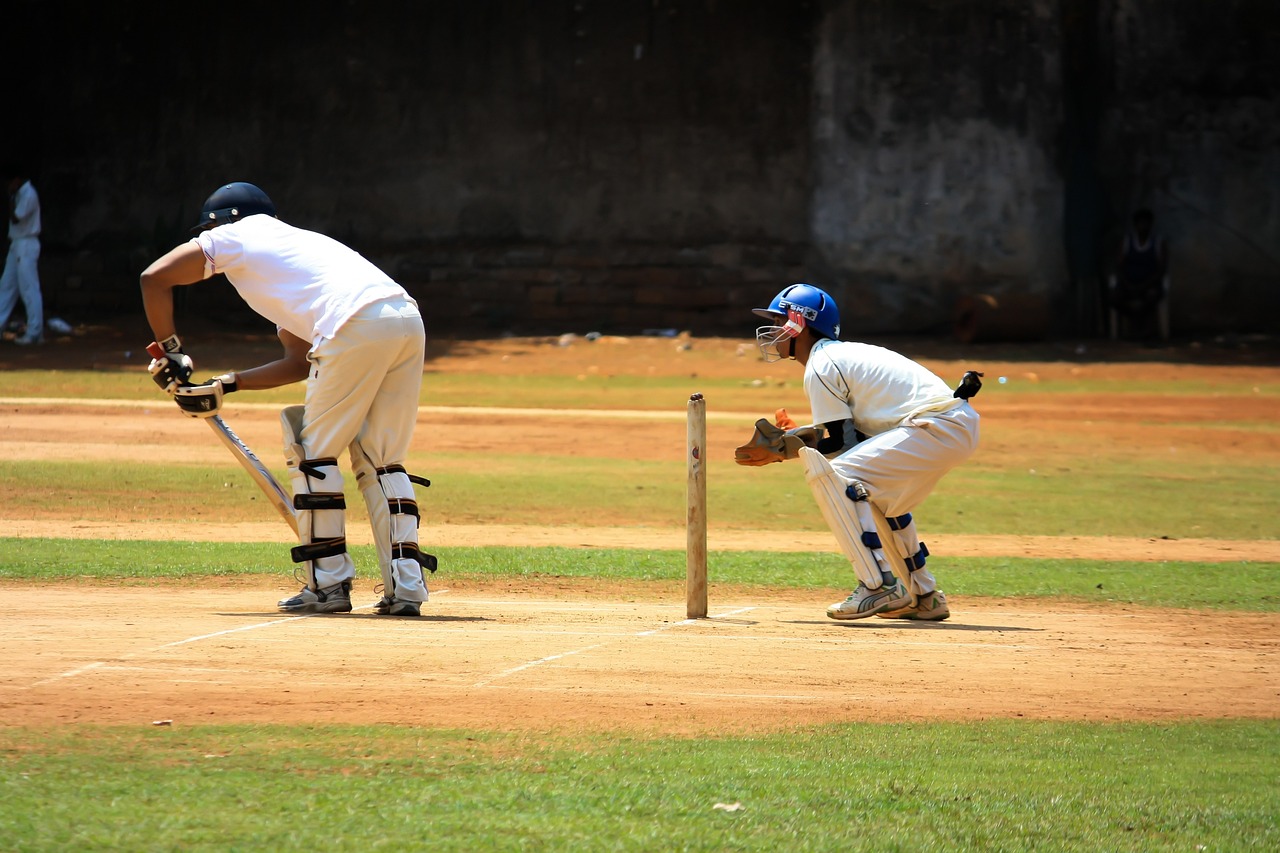 Playing Cricket