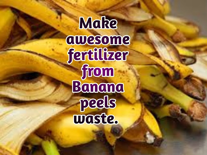 Make Your Own Fertilizer | Natural Fertilizer for Plants - TJ Gardening
