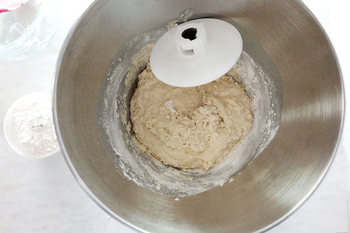 bloomed yeast with starter mix and one cup flour mixed in