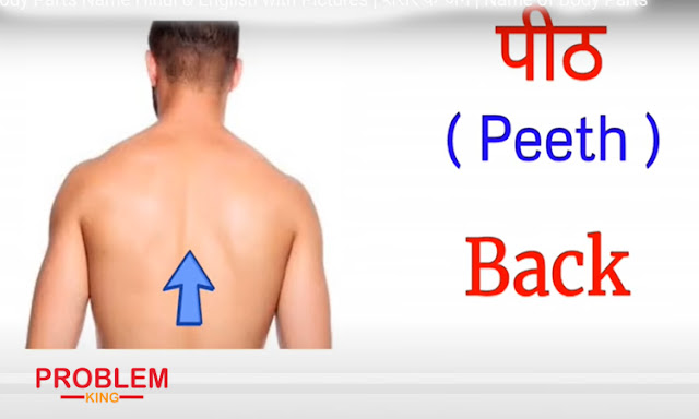 Human Body Parts Name Hindi & English with Pictures