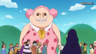 ワンピースアニメ WCI編 838話 | ONE PIECE ビッグマム 幼少期 Linlin Childhood