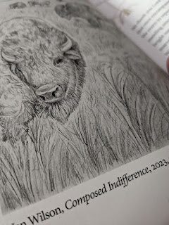 buffalo sketch from On Common Ground: Learning and Living in the Loess Hills