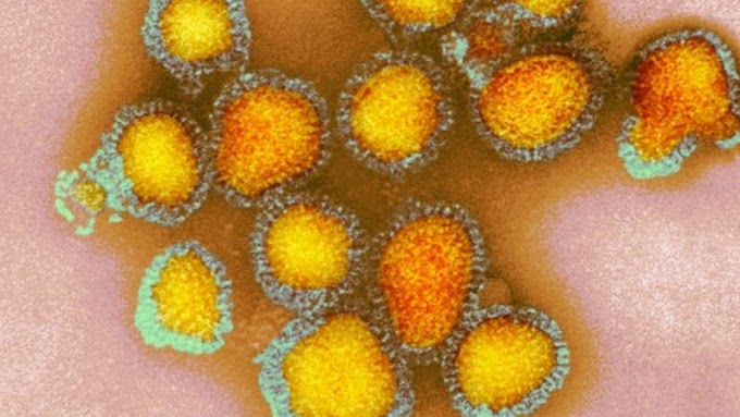  Ceará confirma 18 casos de gripe H3N2 só em dezembro