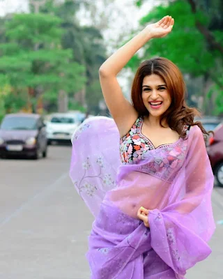 Actress Shraddha Das Stunning looks in purple saree