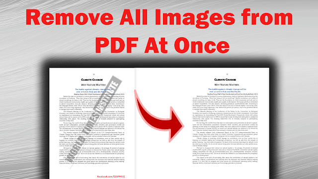 Remove All The Images From A PDF File at Once