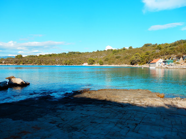 ŽUKOVA BEACH