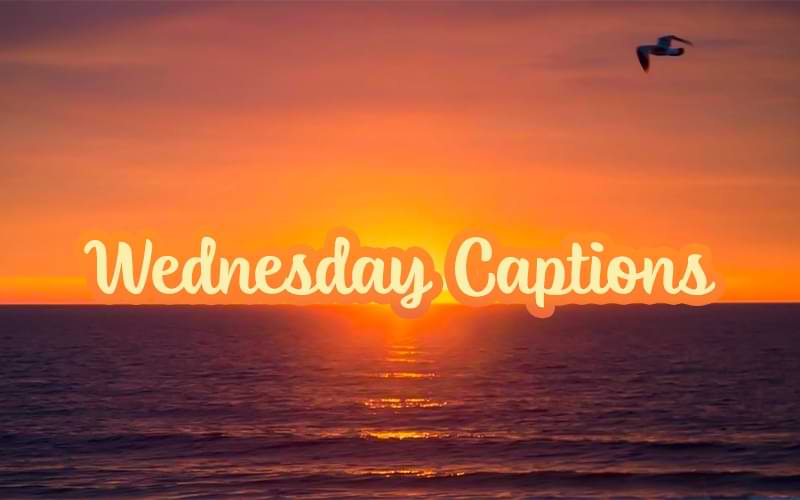 50+ Wednesday Captions for Instagram & Wednesday Quotes