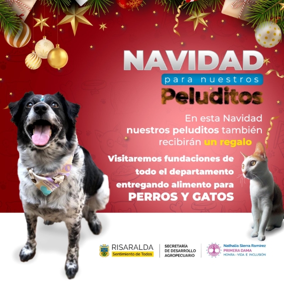 La Navidad también llega para nuestros peluditos