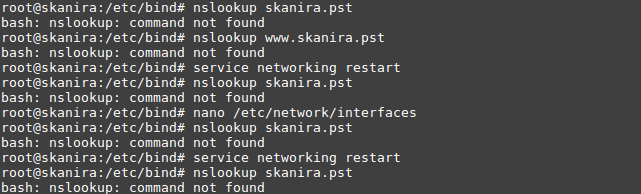 Mengatasi nslookup Tidak Ditemukan di Debian