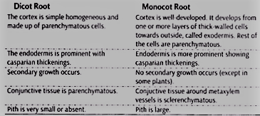 Differences between Dicot Root and Monocot Root