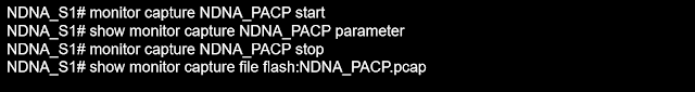 PCAP C9300