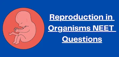 Reproduction in Organisms NEET Questions
