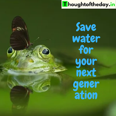 World Water Day Quotes & Slogans – Water Conservation Slogans (2022)