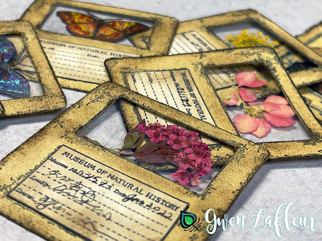 Butterfly and Pressed Flower Specimen Cards with EGL26 - Gwen Lafleur
