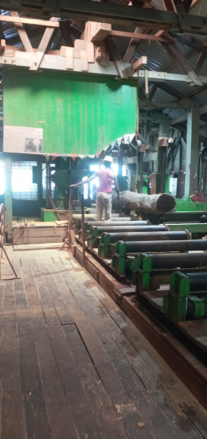 A peep into the factory of " Chatham Saw Mill " in Port Blair