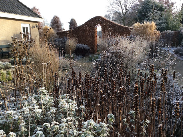 Mijn wintertuin met planten die hun vorm en structuur behouden