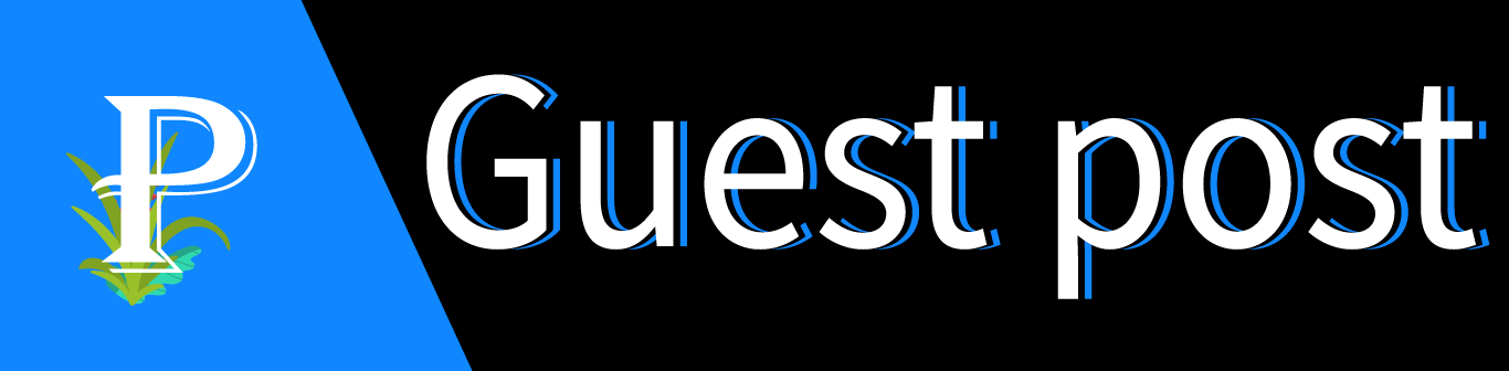 P Best Guest Posting Services and Blogger Outreach Services