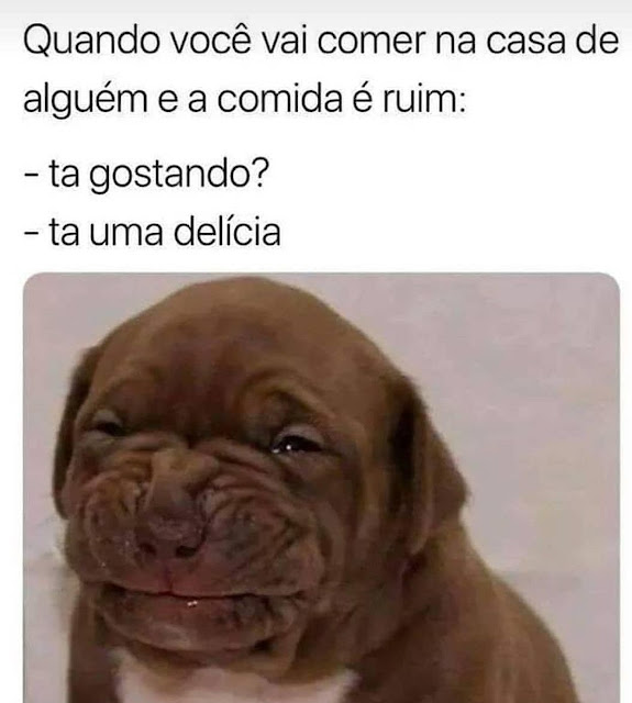 64 memes de cachorro para você ter na manga