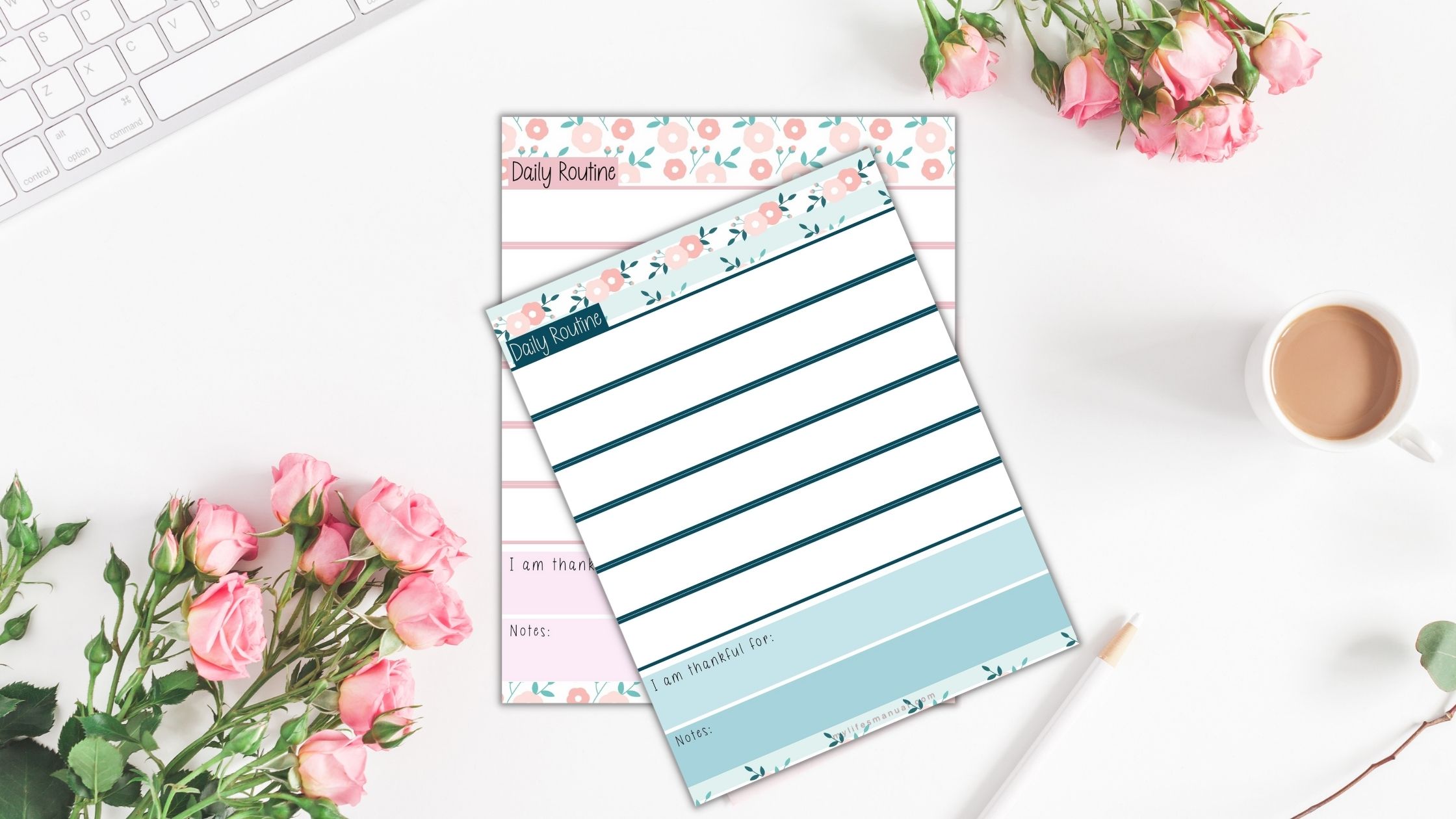 Free Daily Routine Printables