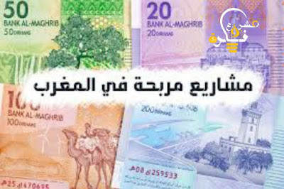 مشاريع مربحة في المغرب 2022 | افضل خمسة مشروعات ناجحة يمكنك البدء فيها وربح المال الوفير