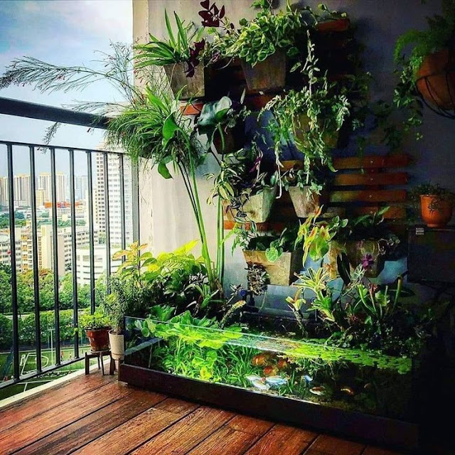 Aquarium di balkon