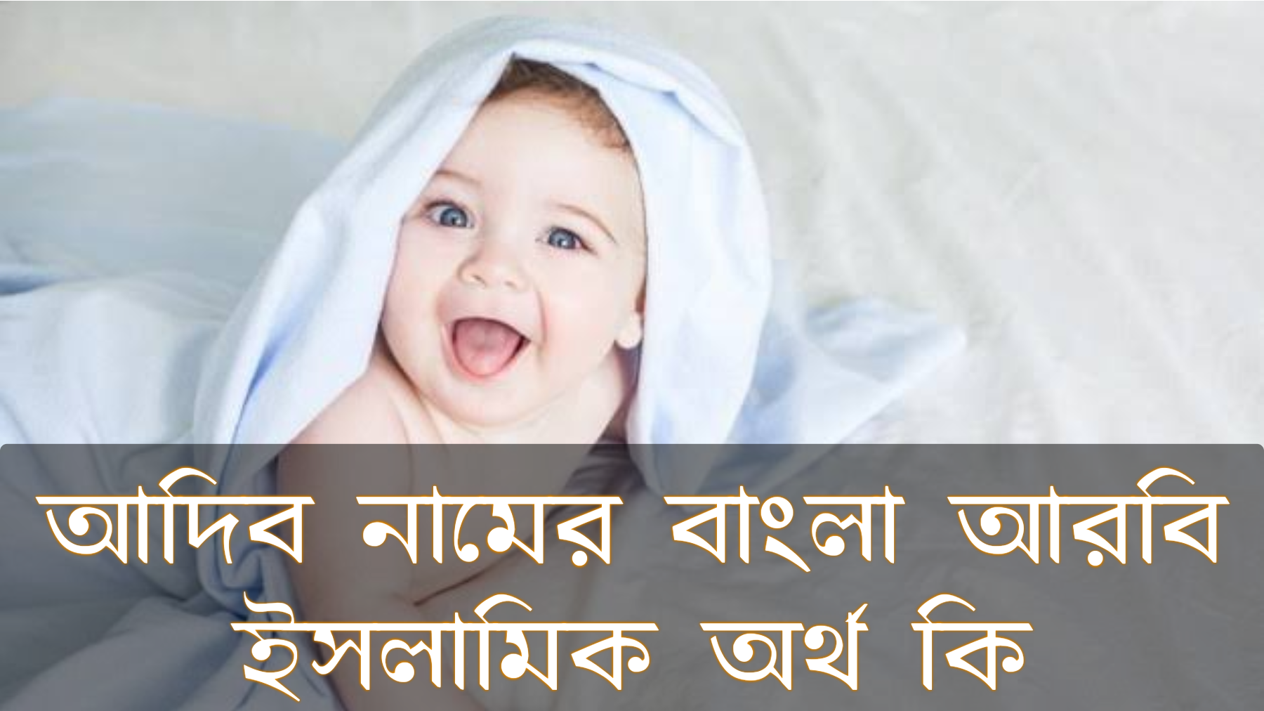 আদিব নামের অর্থ কি, Adib name meaning, আদিব নামের বাংলা অর্থ কি, Adib namer ortho ki, আদিব নামের আরবি অর্থ কি, আদিব নামের ইসলামিক অর্থ কি, Adib name meaning in Bengali Arabic and Islamic, আদিব কি আরবি/ইসলামিক নাম