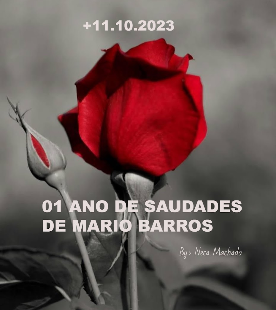 #mariobarros, 01 ano de saudade em 11.10.2023