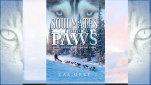 PAWS is Featured February 2023 "Book of the Month" Hollywood Book Reviews