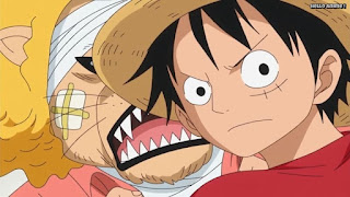 ワンピースアニメ ゾウ編 766話 ルフィ Monkey D. Luffy | ONE PIECE Episode 766