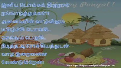 Pongal wishes in Tamil 14