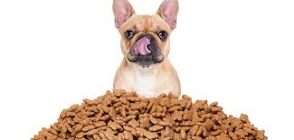 Alimento para perros sin cereales