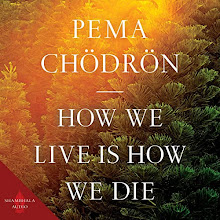 New Pema Chodron book